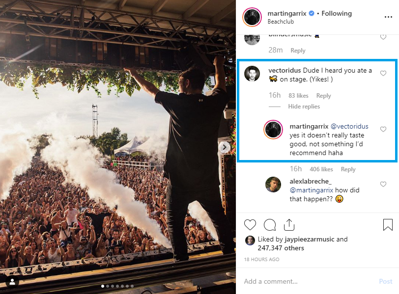 Martin Garrix Continues Set After Being Stung By A Bee In ...