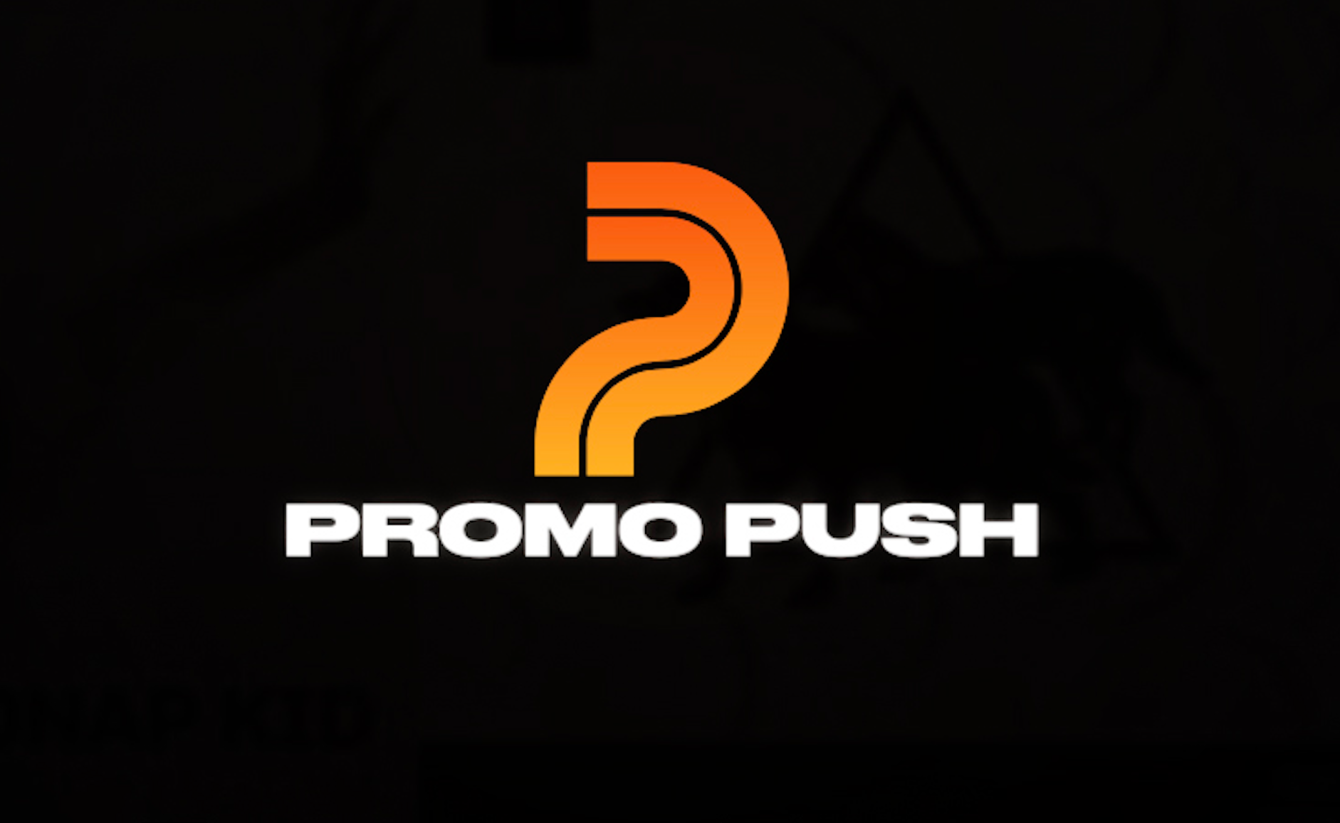 The logo of Promo Push, who offer Dance radio promotion and Spotify playlist promotion, with an orange gradient P icon above white Promo Push lettering on a black background