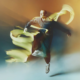 Lost Frequencies wearing Tomorrowland WR1 sneakers in the official campaign, surrounded by flowing yellow fabric.